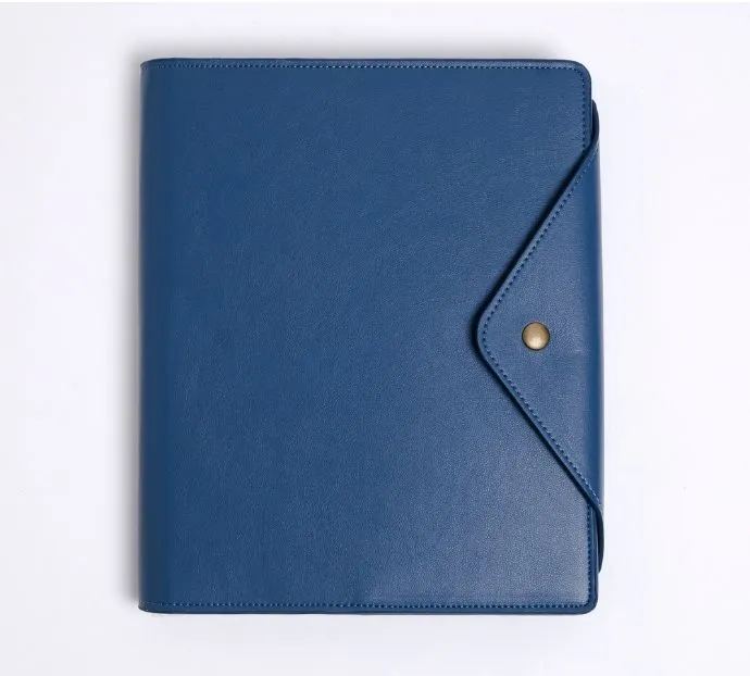 Professional Portfolio Case