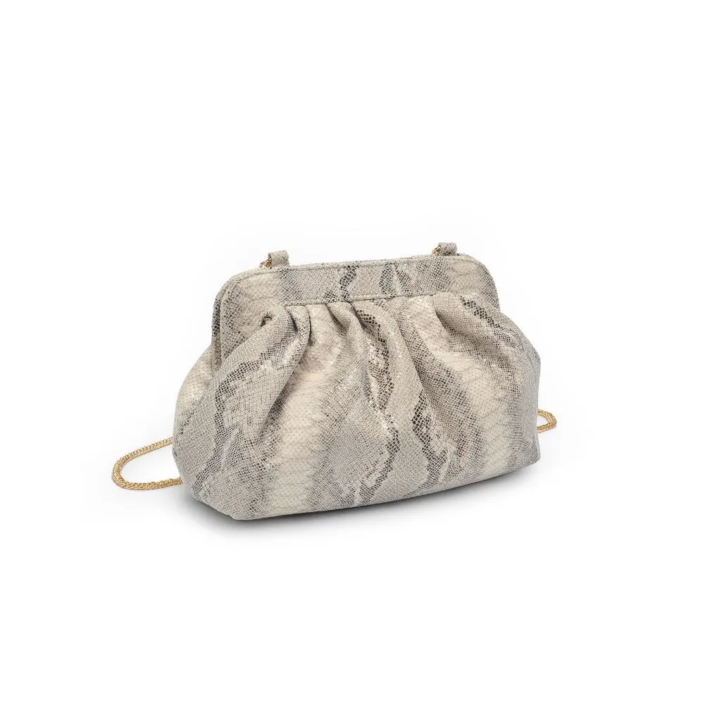 Remy Clutch